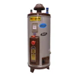 Inspire 15G Deluxe Electric and Gas Geyser